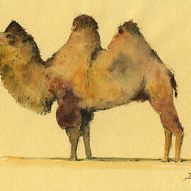 Bactrian camel by Juan  Bosco