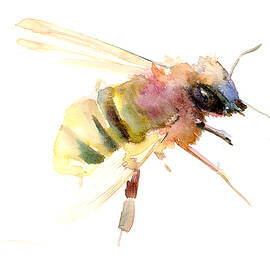 Bee by Suren Nersisyan