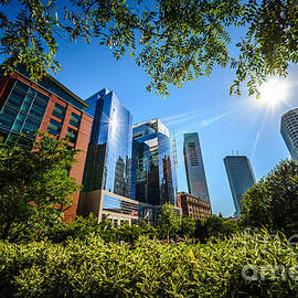 Boston Downtown City Buildings Through Trees by Paul Velgos