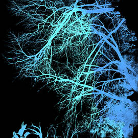 Breath of Winter  by AM FineArtPrints