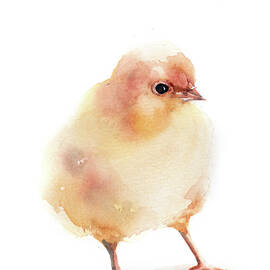Chicks by Sophia Rodionov