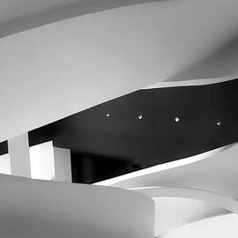 Curvature  by Jessica Jenney