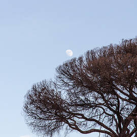 Distant Skies by AM FineArtPrints