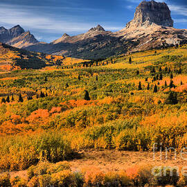 Fall Foliage At Chief Mountain by Adam Jewell