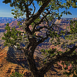 Grand Canyon Arizona by Waterdancer 