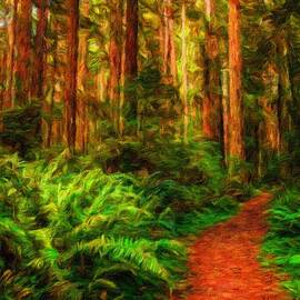 Hiking Path in Redwood Forest by Miroslav Liska