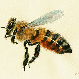 Honey bee watercolor painting by Juan  Bosco