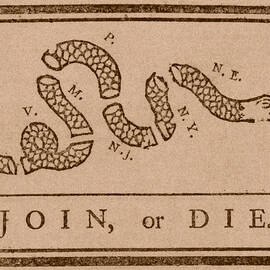 Join or Die by War Is Hell Store