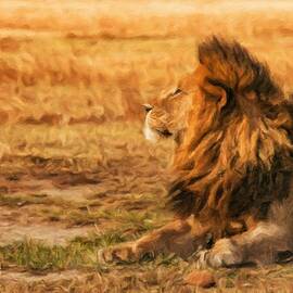Lion resting in the Ngorongoro Crater by Miroslav Liska