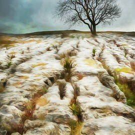 Painted effect - Lone Tree by Sue Leonard