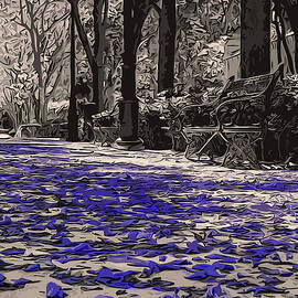 Magic Carpet Ride by AM FineArtPrints