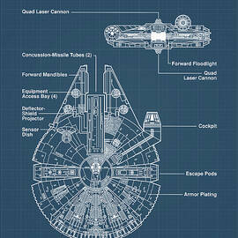 Millennium Falcon by Denny H