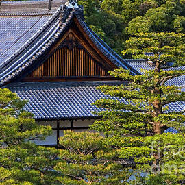 Nijo Castle Gardens Kyoto Japan by Waterdancer 