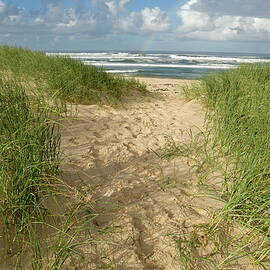 Path on beach leading to Ocean by Sami Sarkis Photography