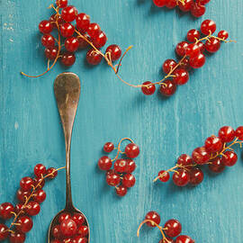 Red Currant by Jelena Jovanovic