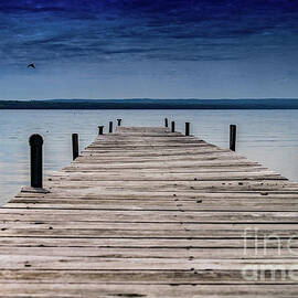 Resting Waters by William Norton