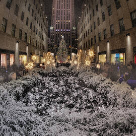 Rockefeller Center Christmas NYC by Susan Candelario