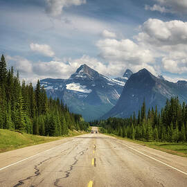 Scenic Icefields Pkwy traveling through Banff and Jasper National parks by Miroslav Liska