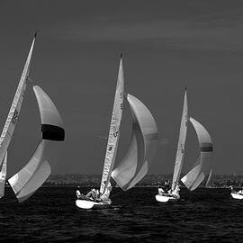 Spinnaker Run by David Shuler