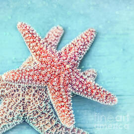 Starstruck by Evelina Kremsdorf
