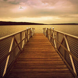 Sunset Horizon by Jessica Jenney