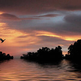 Sunset River   by Jessica Jenney