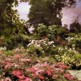 Vintage Garden by Jessica Jenney