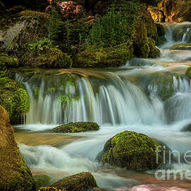 Waterfall cascadein green forest. landscape nature by Jelena Jovanovic