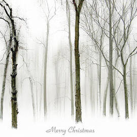 White Christmas by Jessica Jenney