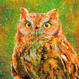 Wise Eyes by Mary Jo Allen