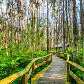 Wooden Deck in the Everglades, Florida by Miroslav Liska