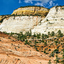 Zion Park Utah by Waterdancer