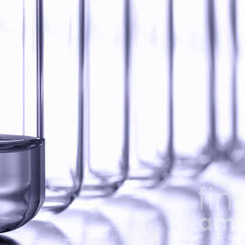 Laboratory Test Tubes in Science Research Lab by Olivier Le Queinec