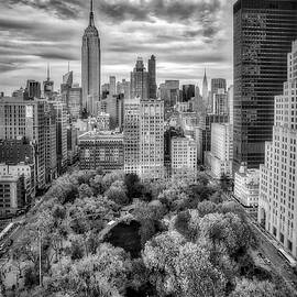 Madison Square Park Aerial View by Susan Candelario