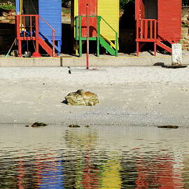 Multicoloured beach huts on Muizenberg beach by Sami Sarkis Photography