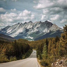 Scenic Icefields Pkwy traveling through Banff and Jasper National parks by Miroslav Liska
