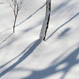 Winter Scene - Abstract by Shankar Adiseshan