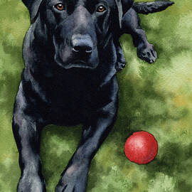 Black Lab by David Rogers