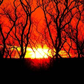 Sunsets by Donn Ingemie