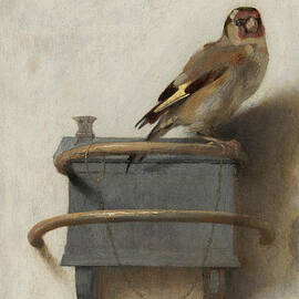 The Goldfinch by Carel Fabritius