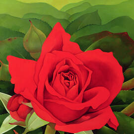 The Rose by Myung-Bo Sim