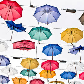 Umbrellas by Tom Gowanlock