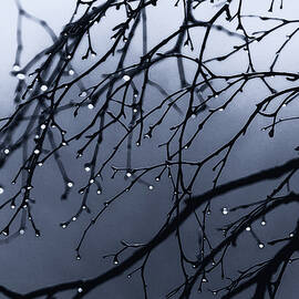 4000 rainy nights by AM FineArtPrints