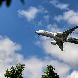 Airbus A350 by Shirley Mitchell