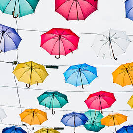 Umbrellas by Tom Gowanlock
