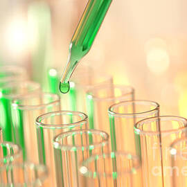 Laboratory Experiment in Science Research Lab by Olivier Le Queinec