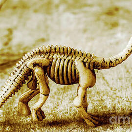 A Diploducus bone display by Jorgo Photography