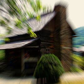 A distant Memory by Flees Photos