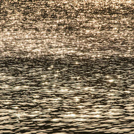 A dive in the golden waters by AM FineArtPrints