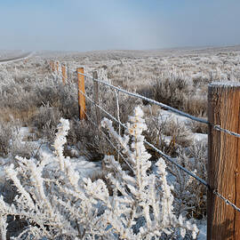 A Frosty and Foggy Morning on the Way to Steamboat Springs by Cascade Colors